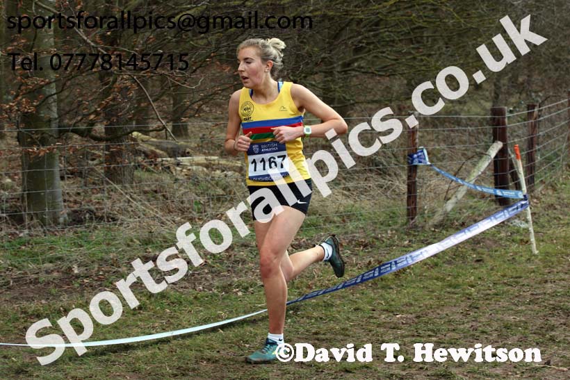 Senior womens 2019 British Athletics Inter Counties Cross Country, Prestwood Hall, Loughborough. Photo:  David T. Hewitson/Sports for All Pics